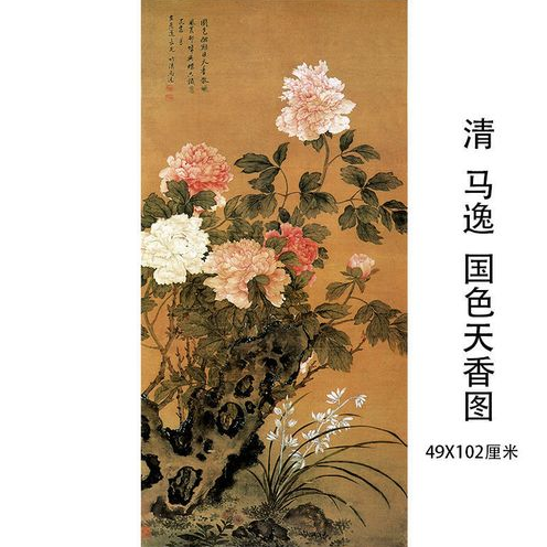 牡丹图